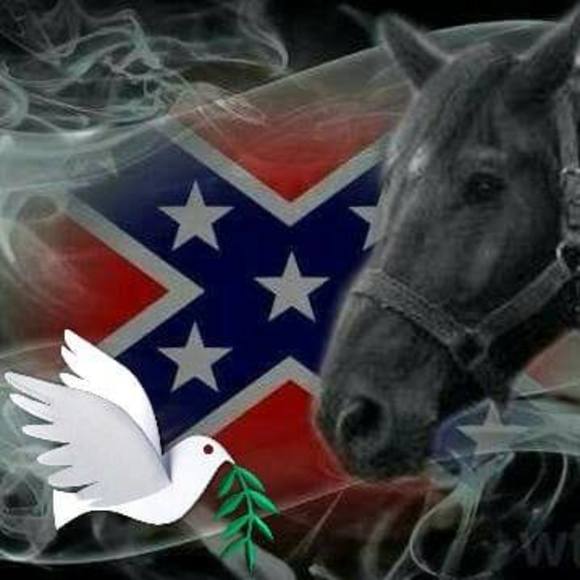 Meet your Posher, Michael - Picture 1 of 1